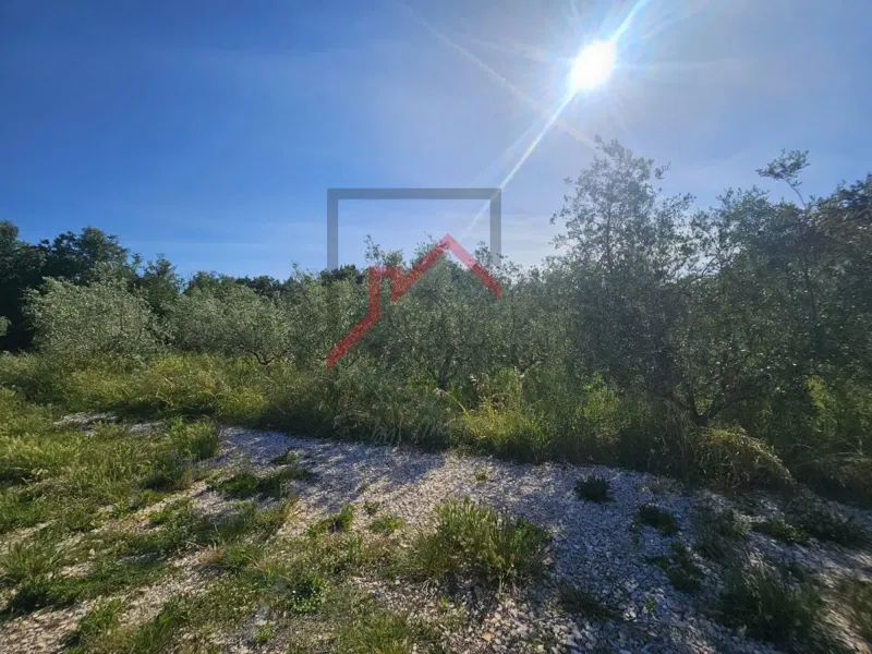 Telek Poreč – 2