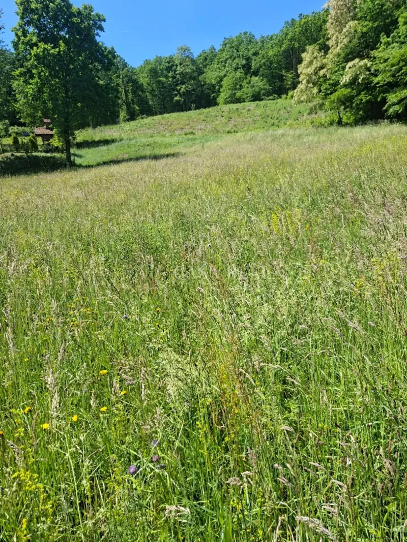 Građevinsko zemljište, Marija Bistrica, 5.582m2, prilika za investitore