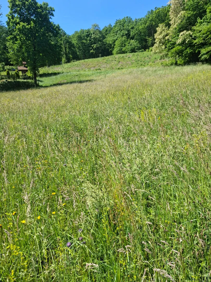 Građevinsko zemljište, Marija Bistrica, 5.582m2, prilika za investitore
