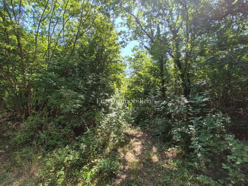 Terreno agricolo vicino a Labin – 2