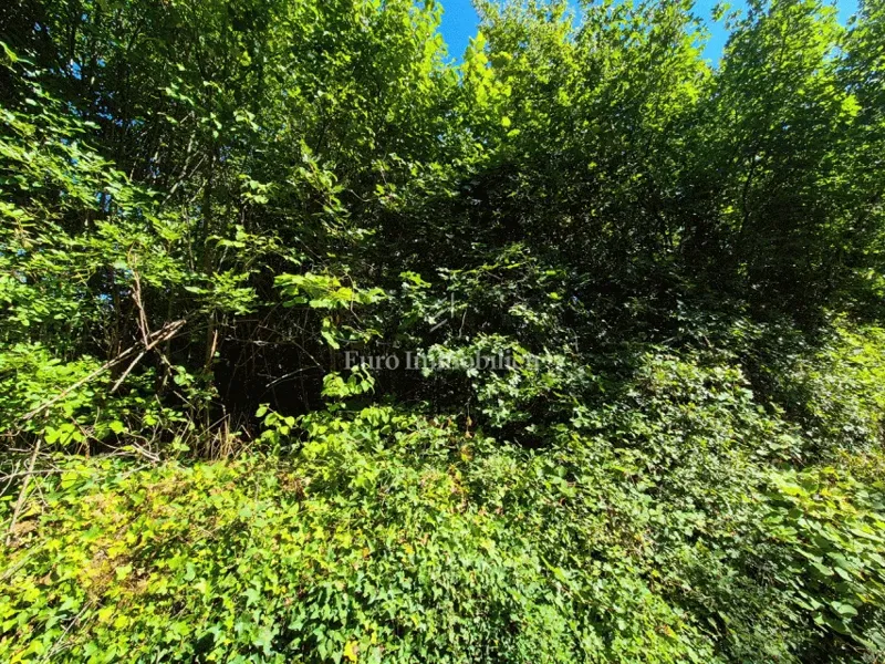 Terreno agricolo vicino a Labin – 3
