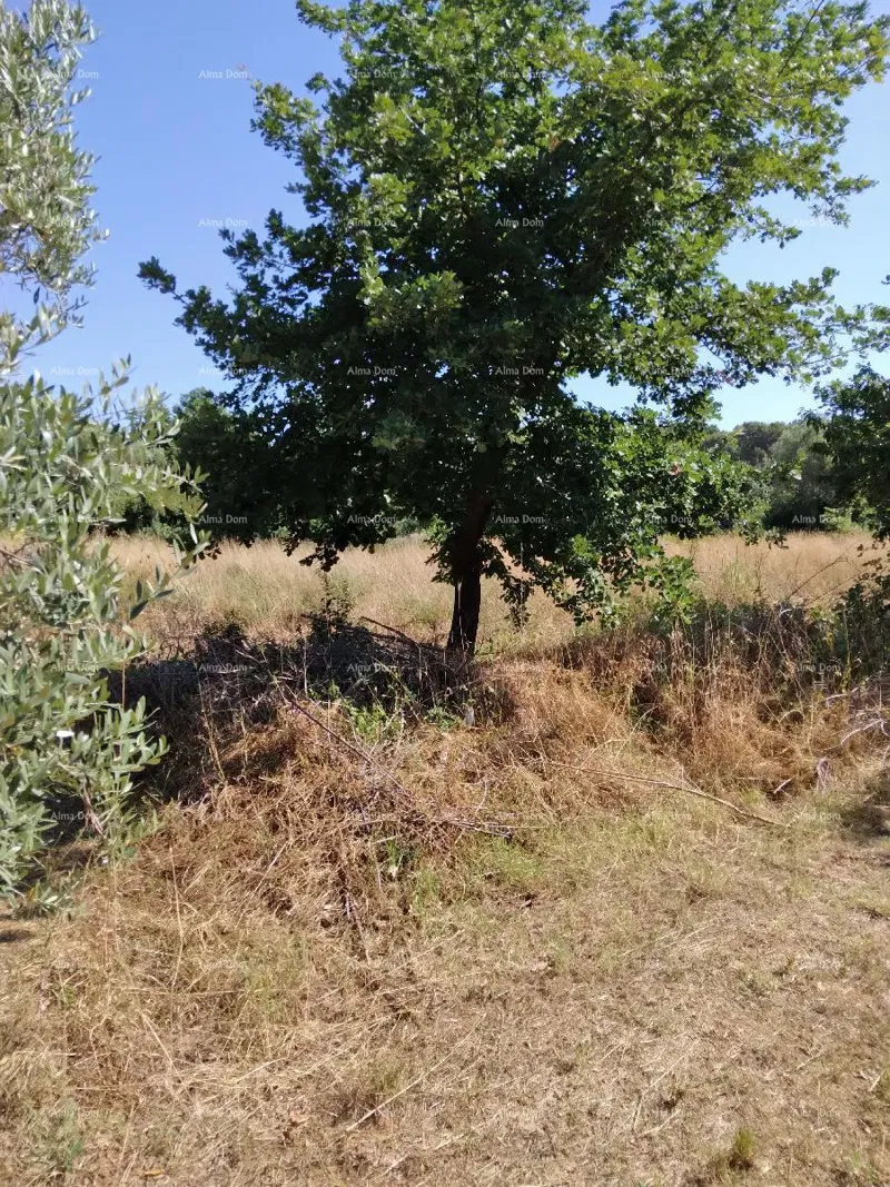 Земля под застройку – 2