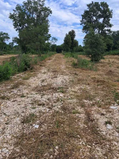 Istria – Agricultural Land with Water – 2
