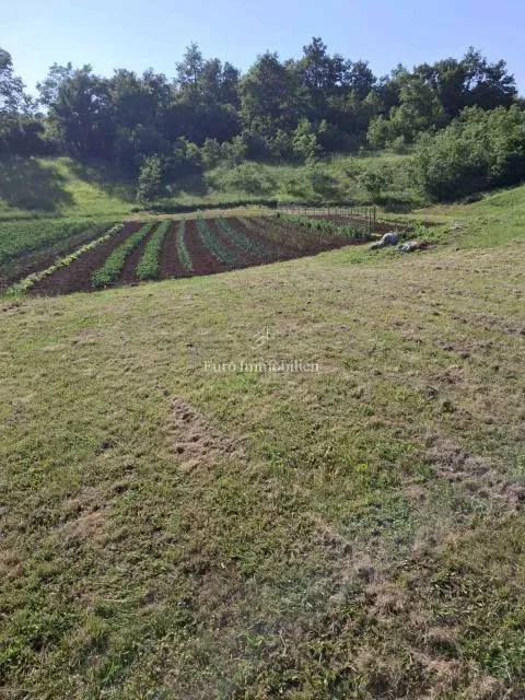 Istria, Svetvinčenat area, building land 2,084 m² – 2