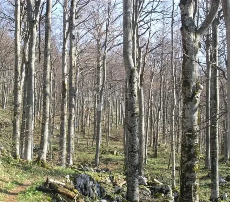 Kmetijsko zemljišče Gornji Vaganac, Plitvička Jezera, 66.000m2