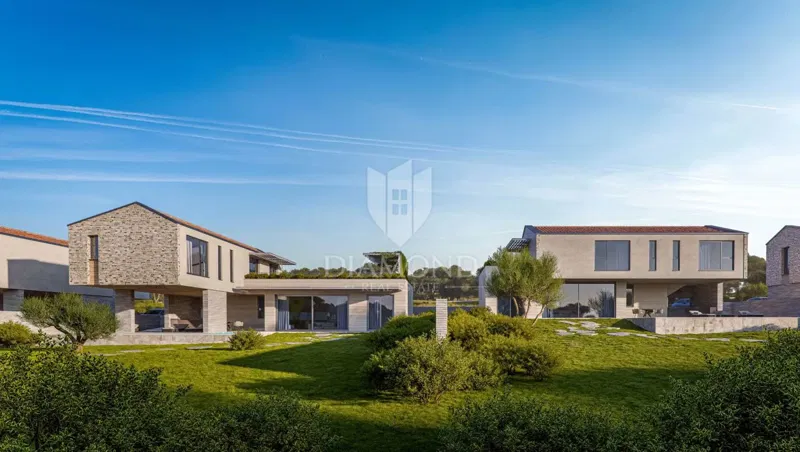 Bale, surroundings, representative luxury house in a quiet location – 3