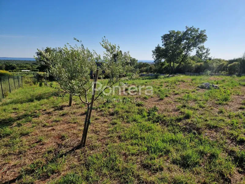 ISTRIA, BARBARIGA - weekend olive grove plot with sea view – 2