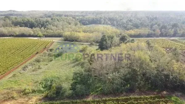 Istra, poljoprivredno zemljište na rubu građevinske zone