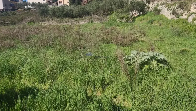Land Podstrana – 2