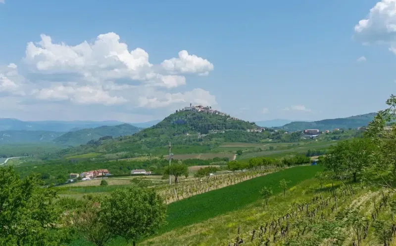 Grundstück Motovun