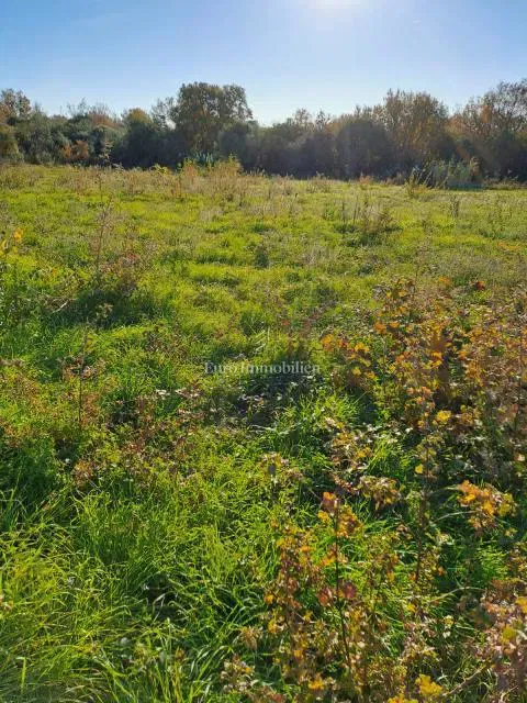 Terreno agricolo di 21.000 m² – Istria – 2