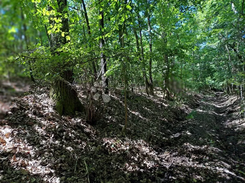 Ziemia rolna Dugo Selo Lasinjsko, Gvozd, 45.500m2 – 3