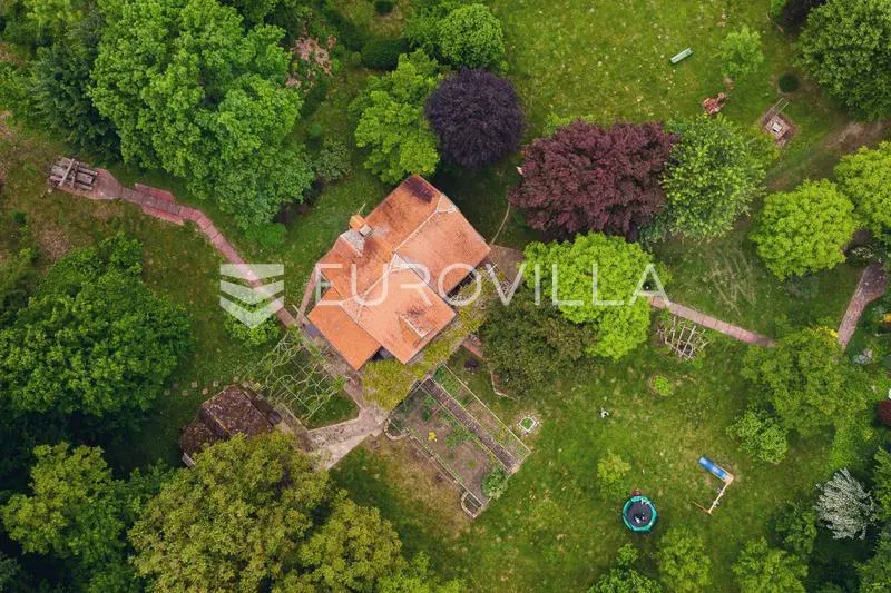 Lonjsko polje, Gušće, šarmantna vikendica na zemljištu površine 25000 m²