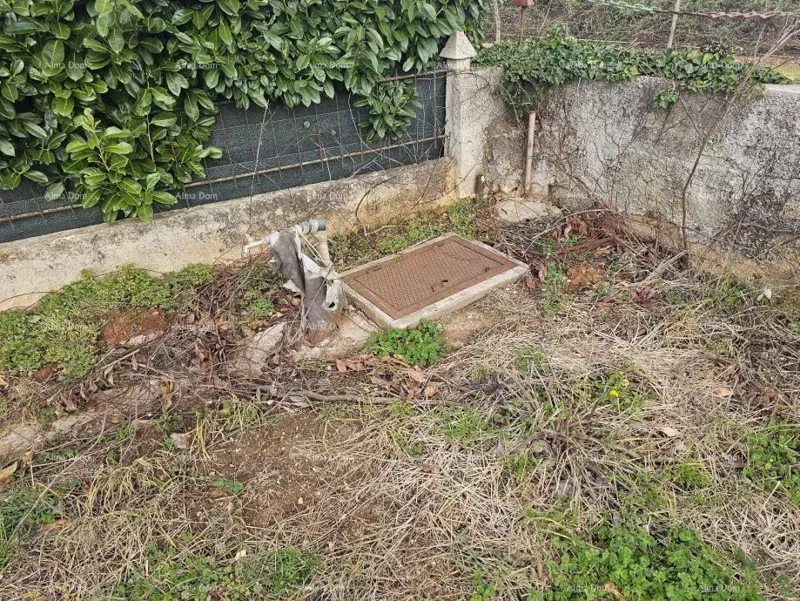 Telek Šišan – 3
