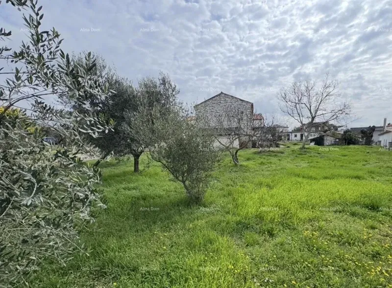 Ház Umag – 2