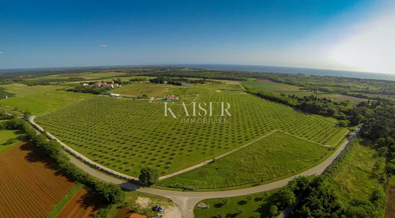 Istria, una rara e lussuosa tenuta mediterranea di 12 ettari in una posizione prestigiosa vicino a Umago – 2