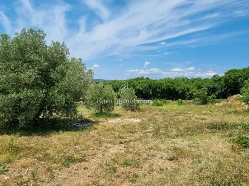 Albona - Terreno edificabile con permesso di costruire e vista – 2