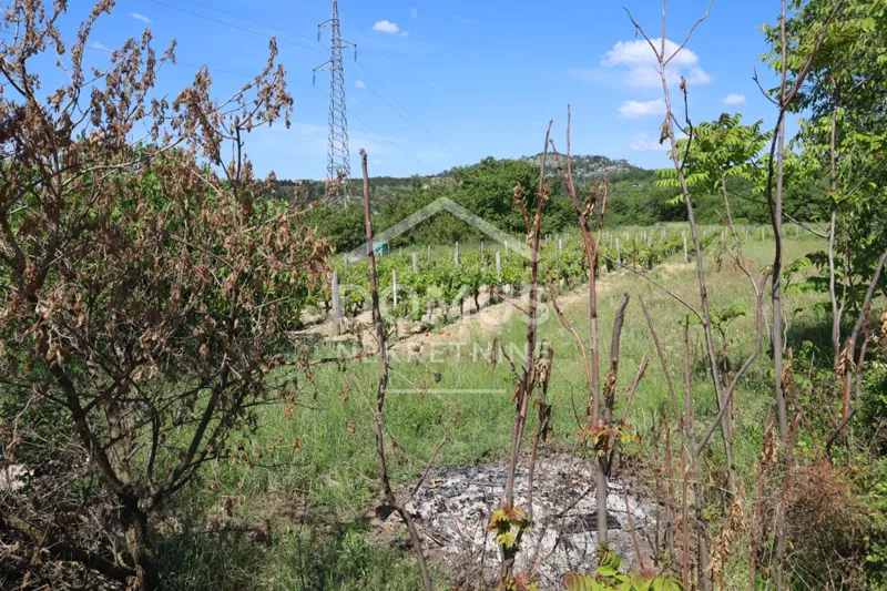 Pozemek Badanj – 2