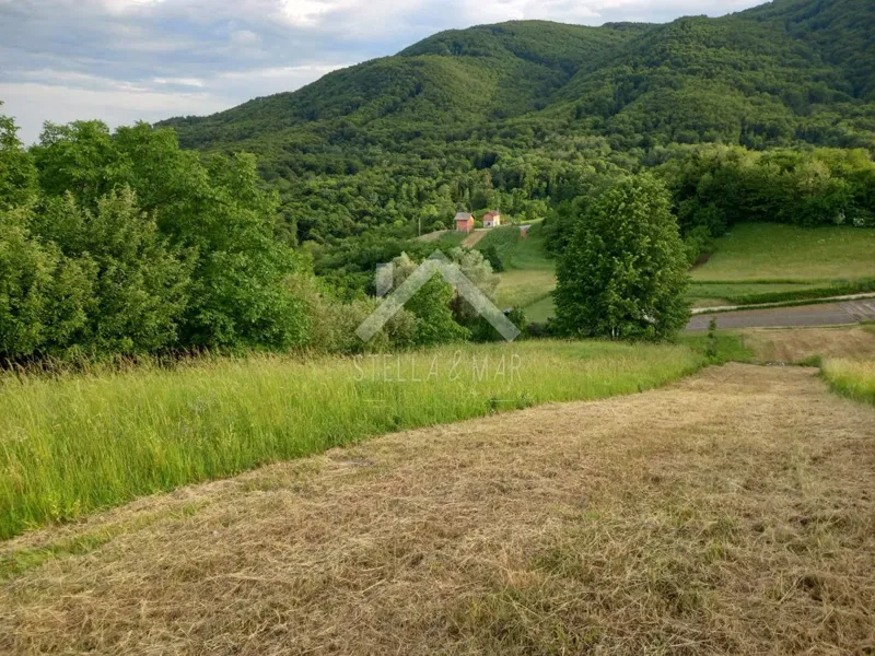 Terreno Planina Gornja – 3