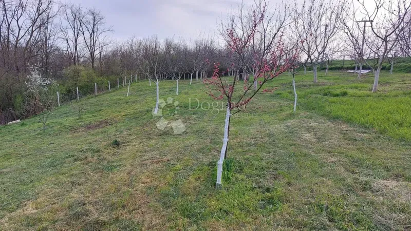 Mezőgazdasági terület Suza, Kneževi Vinogradi, 2.837m2 – 2