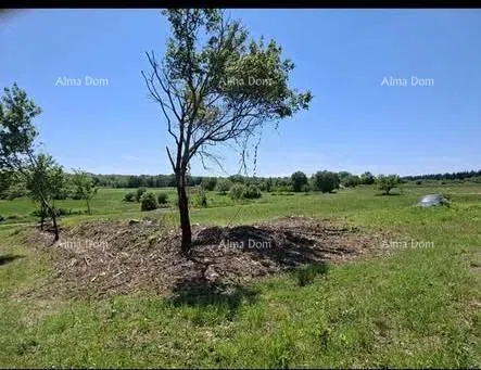 Građevinska parcela 1.200 m² + poljoprivredno zemljište 4.400 m² – Vižinada