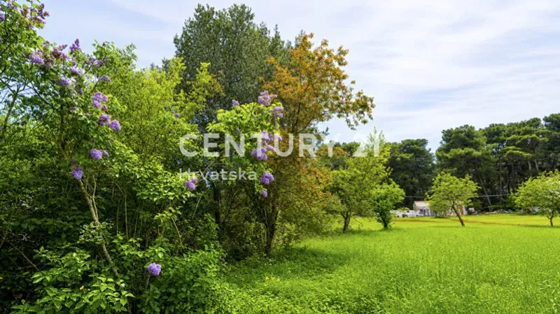 PULA, VELI VRH, BUILDING LAND WITH GREAT POTENTIAL – 2