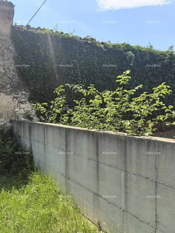 PRODOL, MARČANA – Casa in pietra autoctona istriana con giardino da ristrutturare completamente – 3