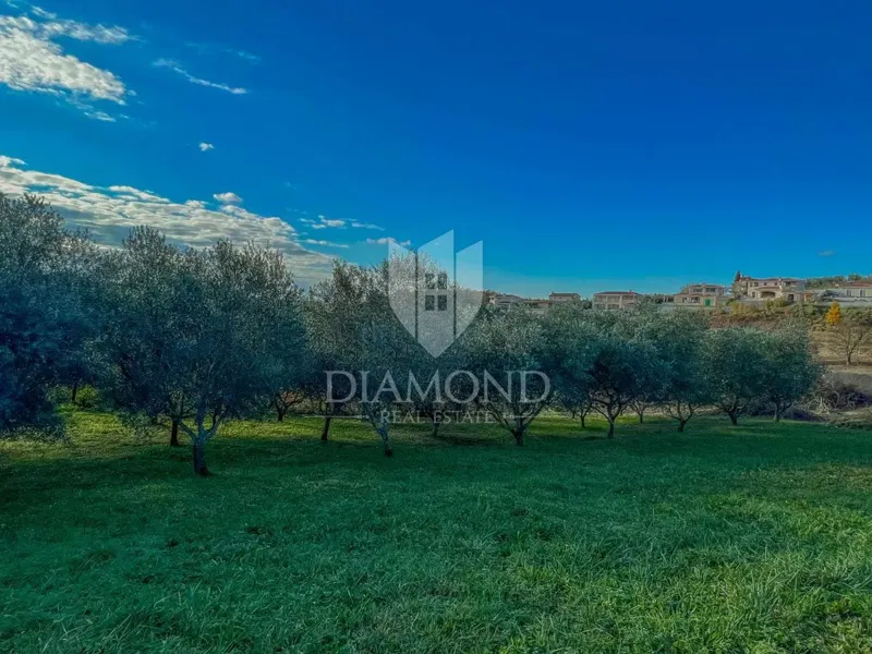Vižinada, građevinsko zemljište s otvorenim pogledom