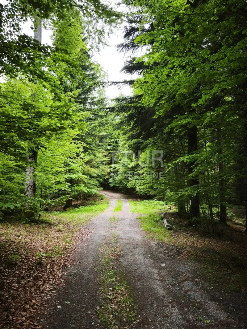Grundstück Vrbovsko, 17.835m2