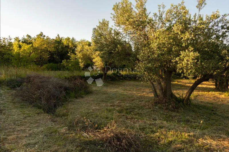 Terreno edificabile Peruški, Marčana, 677m2 – 2