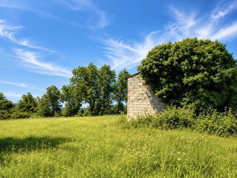 PROPRIETA' CON IMMOBILI DA RICOSTRUIRE, ISTRIA, BARBAN, TRLJI – 3
