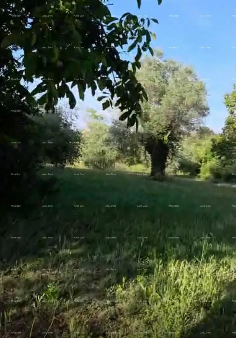 Prodaja stancije na top lokaciji, Rovinj! - Zgrada mješovite namjene s velikim imanjem na kojem se može graditi zgrada s 9 stambenih jedinica..