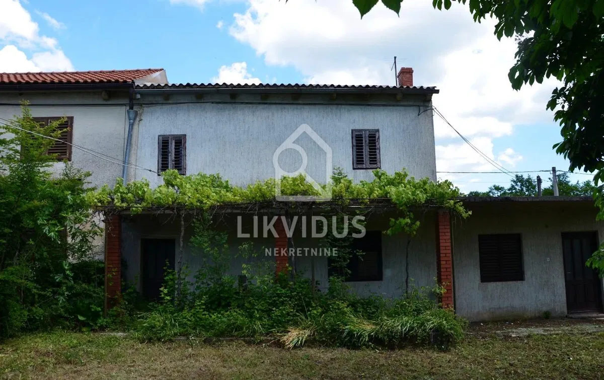 Kuća za renovaciju, Karnevali, Žminj