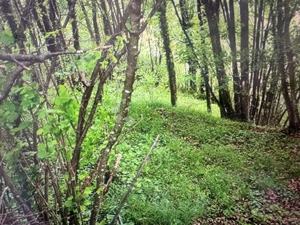Terreno agricolo Centar, Samobor, 1.600m2