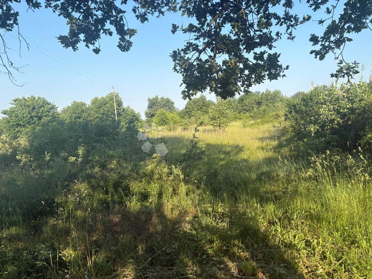 Poljoprivredno zemljište Jurcani 27000 m² -Investicijska prilika