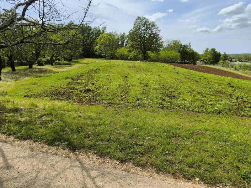 GRAĐEVINSKO ZEMLJIŠTE 2.297 m² U BLIZINI PAZINA
