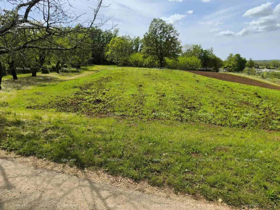 GRAĐEVINSKO ZEMLJIŠTE 2.297 m² U BLIZINI PAZINA