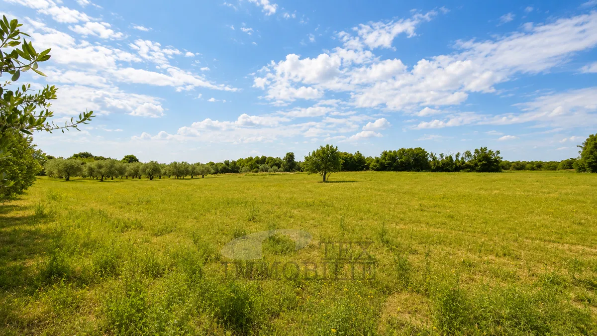 Građevinsko zemljište Tar–Vabriga –  3.496 m²
