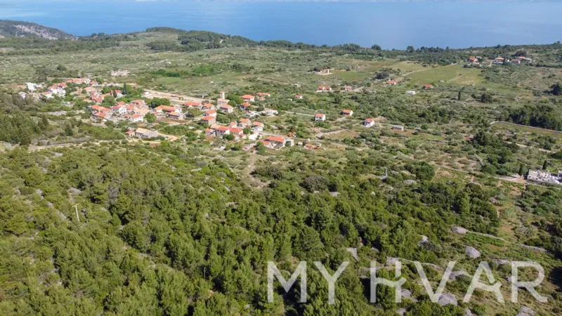 Poljoprivredno zemljište s 146 maslina