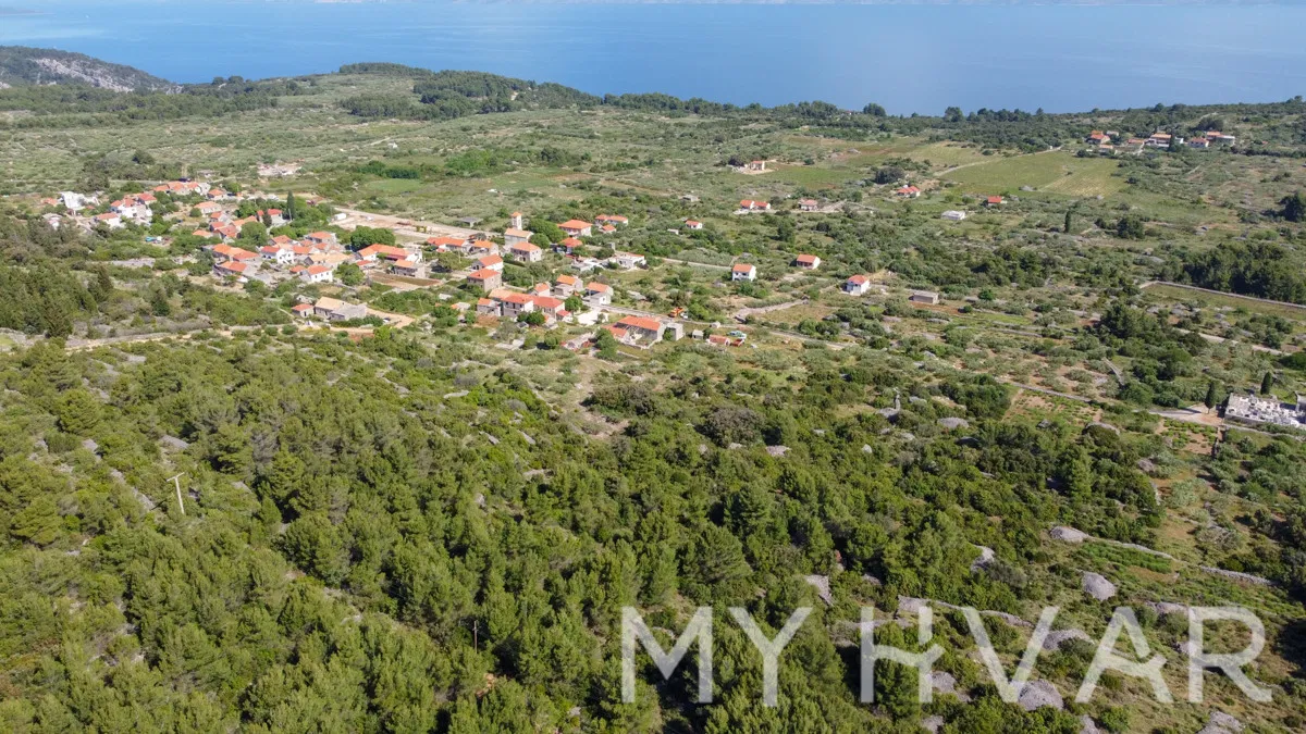 Poljoprivredno zemljište s 146 maslina