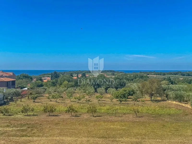 Mieszkanie Novigrad – 3