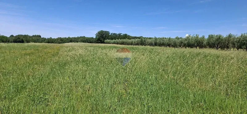 Istra, Brtonigla-poljoprivredna parcela