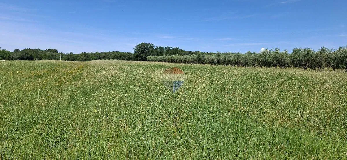 Istra, Brtonigla-poljoprivredna parcela