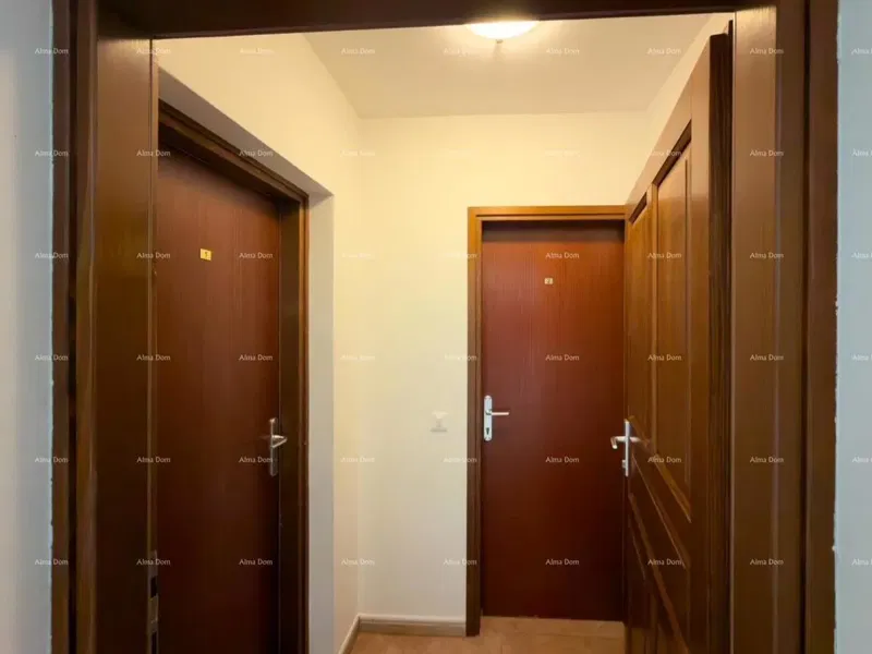 Novigrad, apartment in an attractive location with a pool. – 2