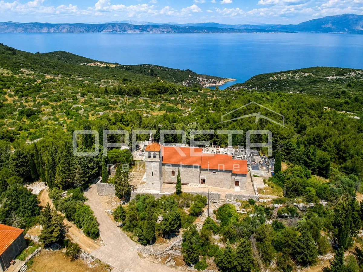 Hvar, Zastražišće – maslinik i lavanda na 4.600 m²