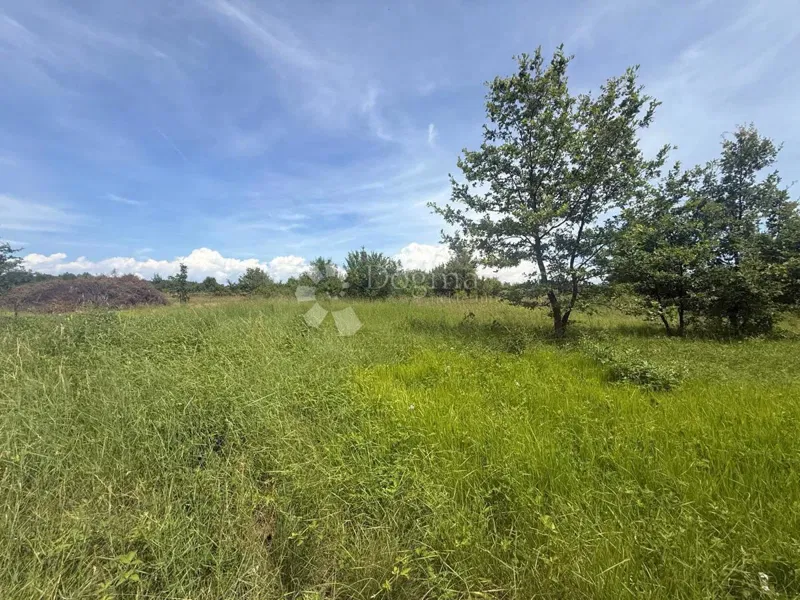 Terreno Umag, 3.000m2 – 2