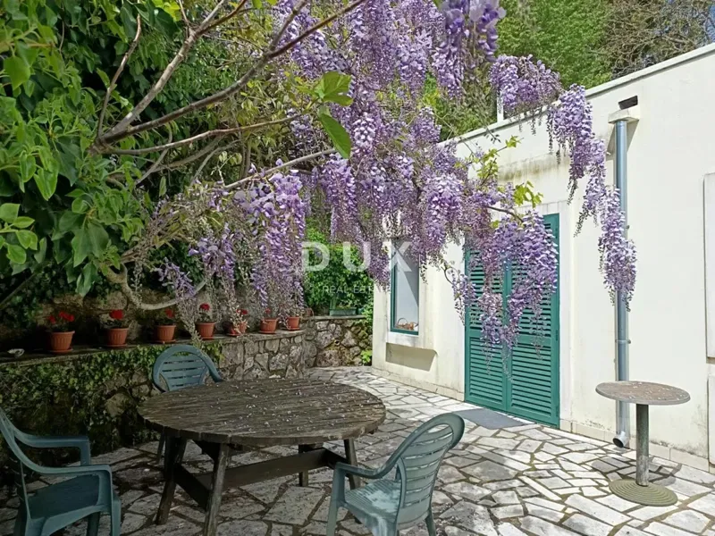 UČKA, PARCO NATURALE - casa in una posizione idilliaca – 2