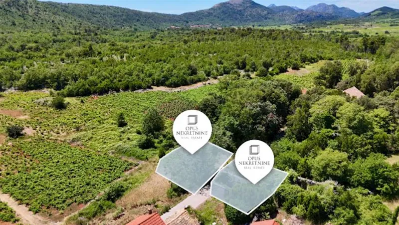 Pijavicino, Peljesac - kamena kuca za obnovu (Video)