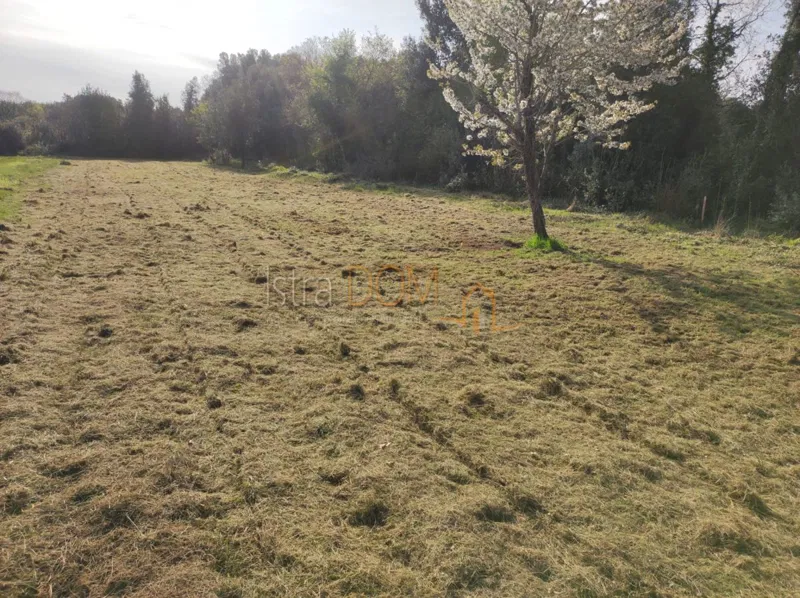 - Šišan , poljoprivredno zemljište 610 m2 - – 2