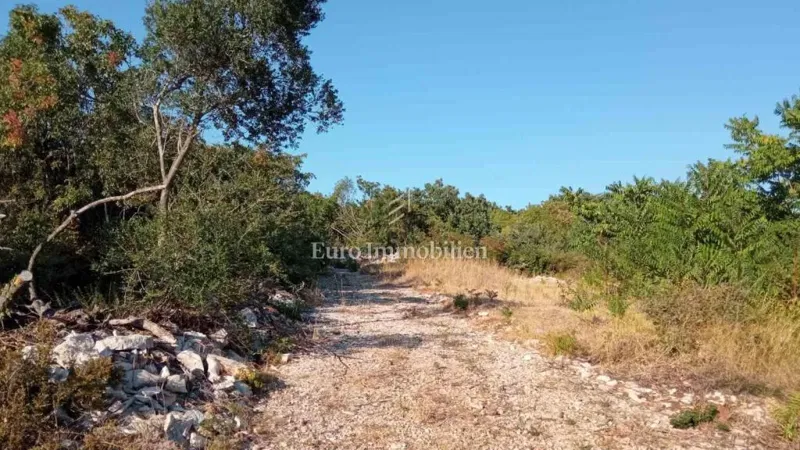 Agricultural Land in Galižana – 4,550 m² with Olive Grove and Sea View – 2